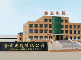 成功案例